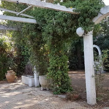 Pezzullo * 바이아도미찌아