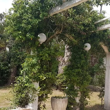 Pezzullo *